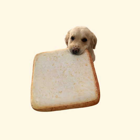 Toast (T-14)