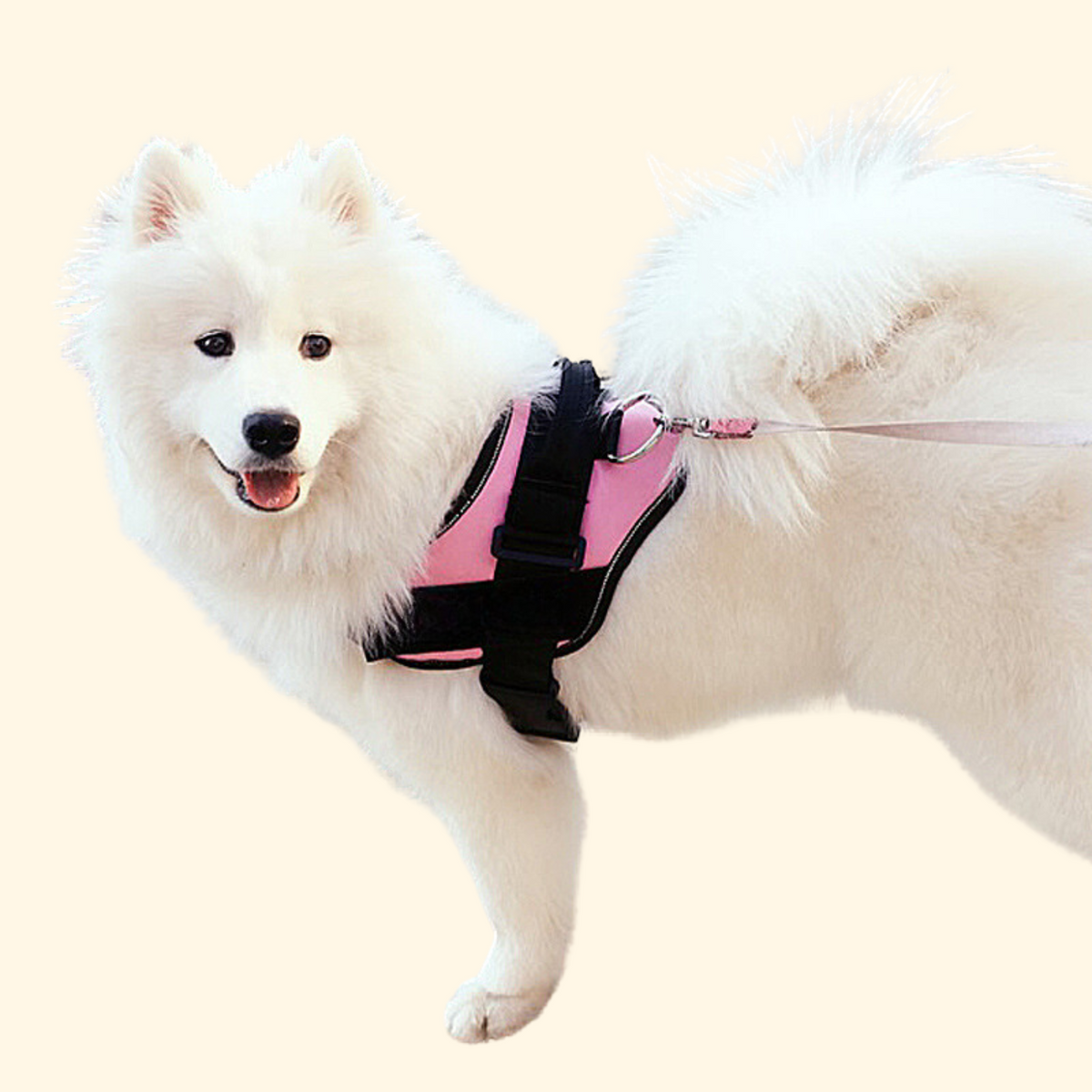 Harnais K9 à velcro