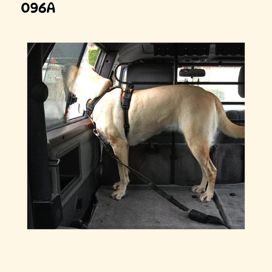 Car Seat Belt for Pet (TI-10)