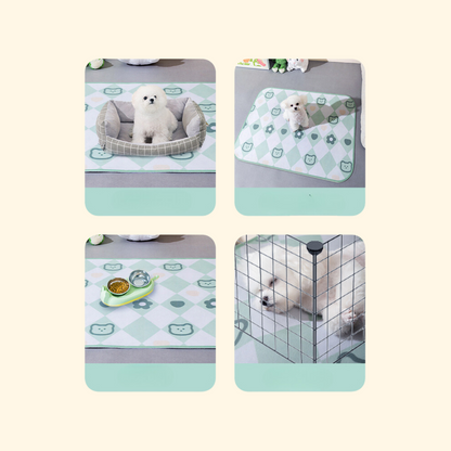 All-season Waterproof Mat (B-1)