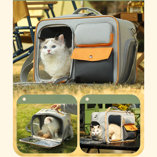 Trolley Travel Bag (C-9)