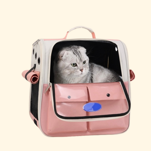 Travel Bag with PVC (C-4)