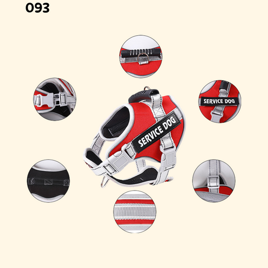 Harness (A-018)