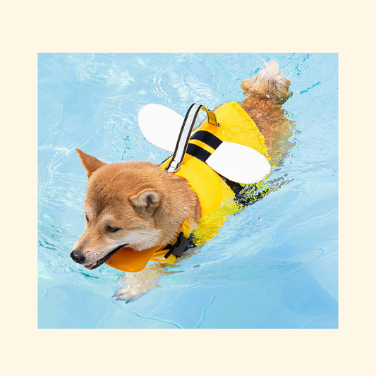 Little Bee Pet Life Jacket (S-2)