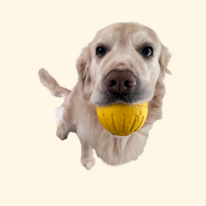 Chewing/Pulling Toys (T-11)