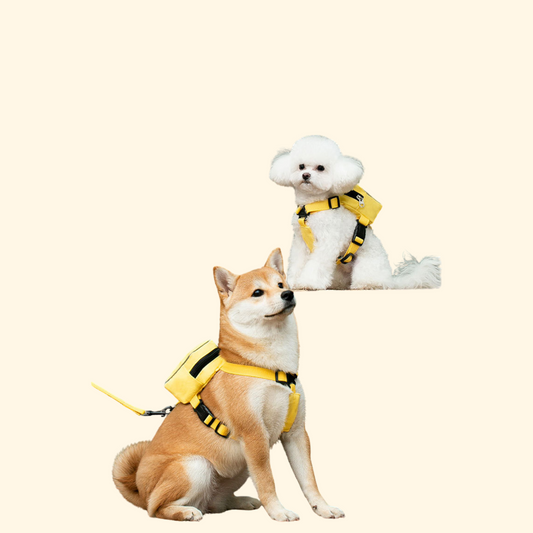 Backpack Harness