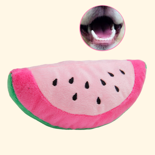 Plush Chewing Toys (T-12)