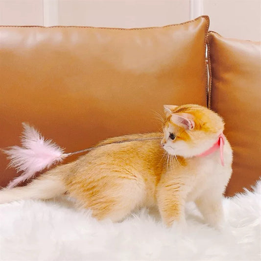 Cat Teaser Collar (T-22)