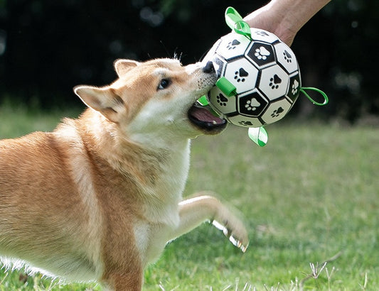 Football (T-3)